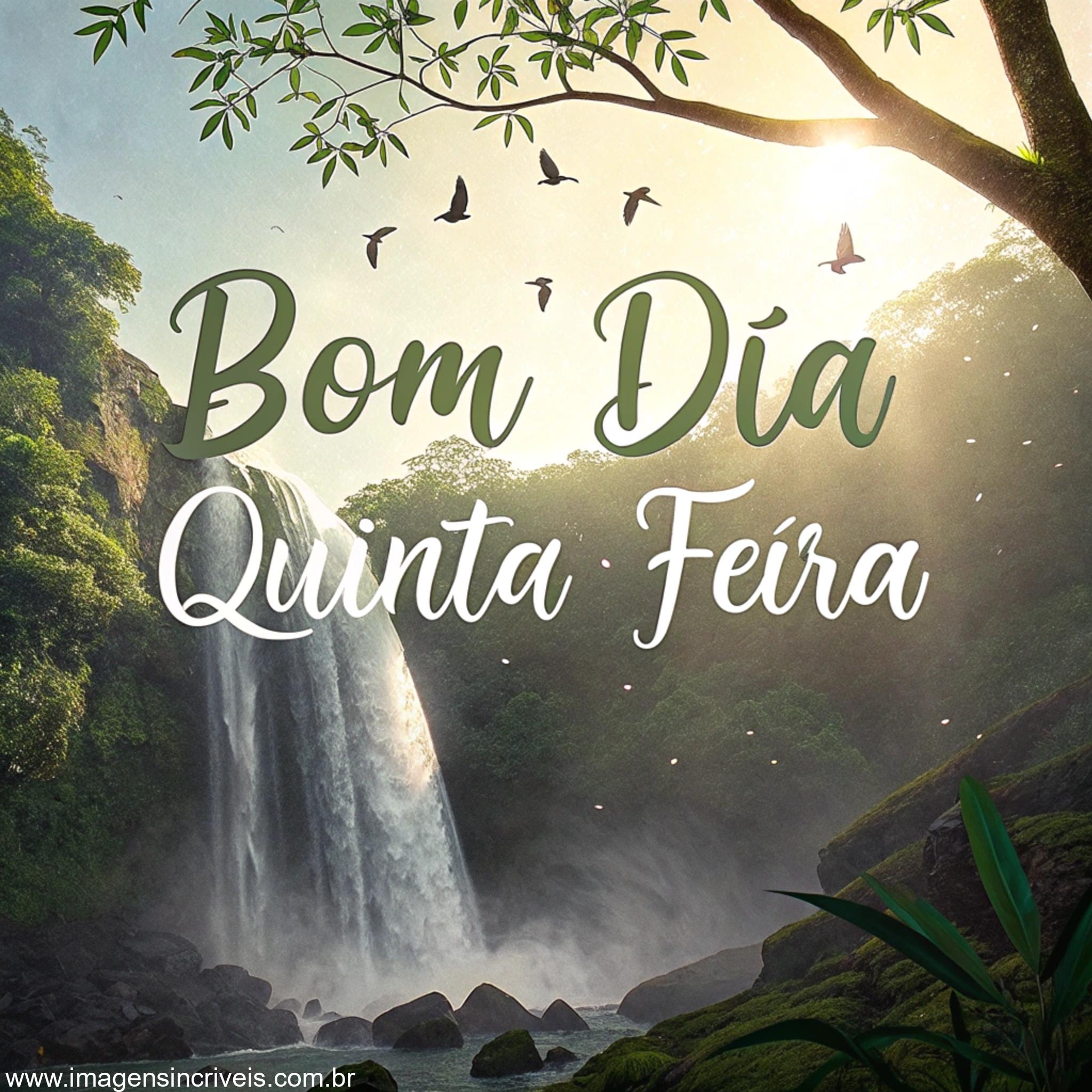 Imagem de Cachoeira em floresta tropical com o texto ‘Bom Dia Quinta-feira’ na névoa e pássaros ao redor.