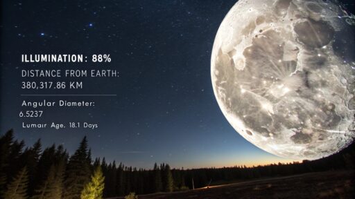 Fases da lua em novembro 2024