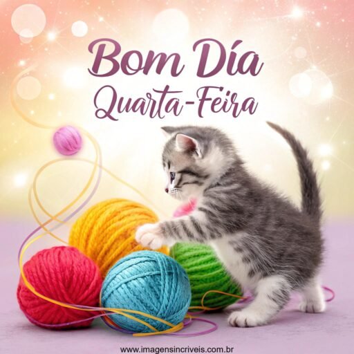 Imagem de um gatinho brincando com bolas de lã coloridas com efeitos de brilho e o texto ‘Bom Dia Quarta-feira’.