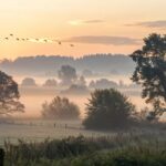Paisagem campestre ao amanhecer transmite fé, carinho e esperança para um novo começo