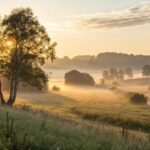 Paisagem serena de manhã em agosto com luz suave simbolizando fé, esperança e reflexão