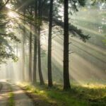 Versículo do dia para sábado 05/07/2025 com reflexão de fé e sabedoria para fortalecer sua jornada espiritual