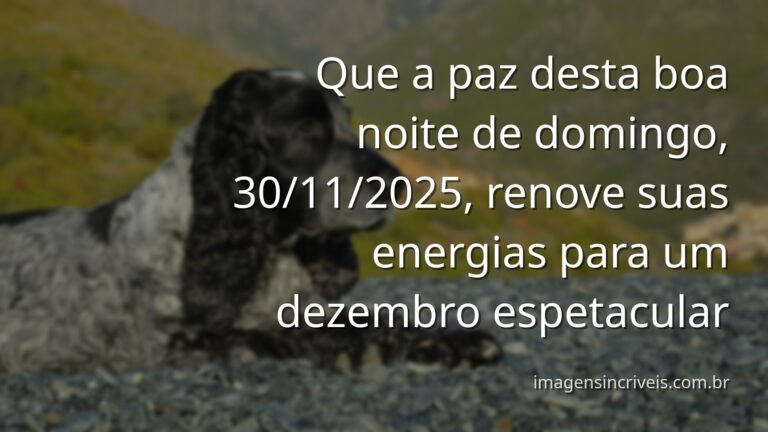 Céu noturno estrelado refletindo sobre a água calma, transmitindo uma sensação de paz e renovação no fim de novembro.