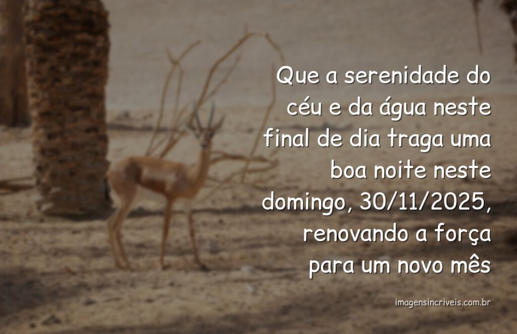 Céu sereno ao entardecer sobre águas calmas, refletindo a paz e a força para a transição de novembro para dezembro.