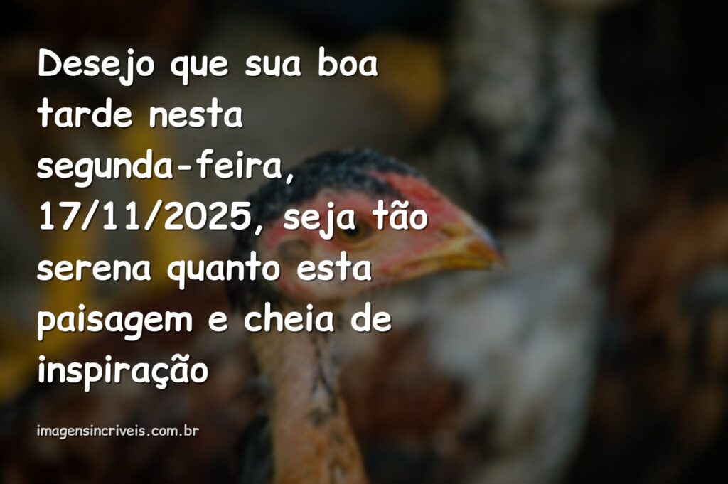 Paisagem serena com céu azul e nuvens brancas refletidas na água calma de um lago, transmitindo paz e motivação.