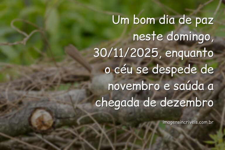Paisagem serena com céu e água refletindo a luz do sol, transmitindo a paz e a esperança de um novo começo de mês.
