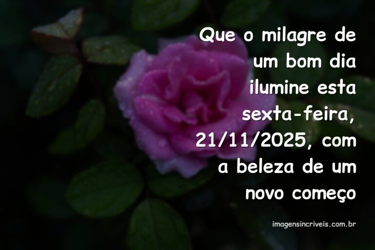 Céu sereno com raios de sol refletindo sobre a água calma, transmitindo a paz e o milagre de um novo dia de sexta-feira.