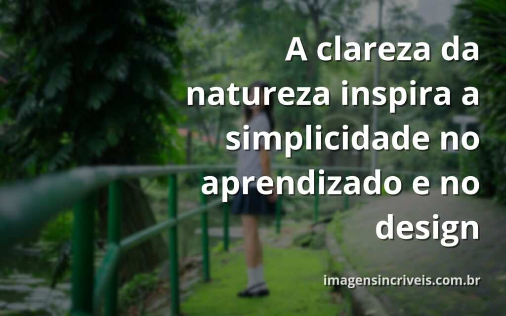 Paisagem calma com um lago límpido refletindo o céu azul, simbolizando a clareza e a fluidez que a usabilidade traz ao aprendizado.