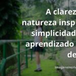 Paisagem calma com um lago límpido refletindo o céu azul, simbolizando a clareza e a fluidez que a usabilidade traz ao aprendizado.
