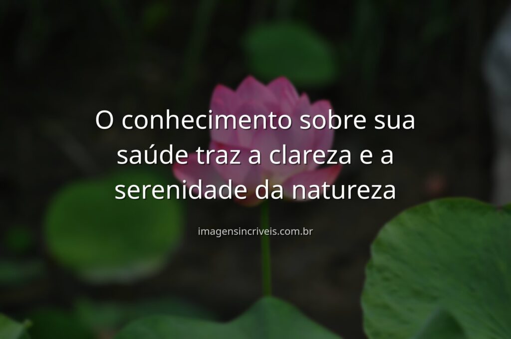 Céu azul refletido perfeitamente na superfície calma de um lago, transmitindo paz e clareza, simbolizando o aprendizado sobre a saúde.