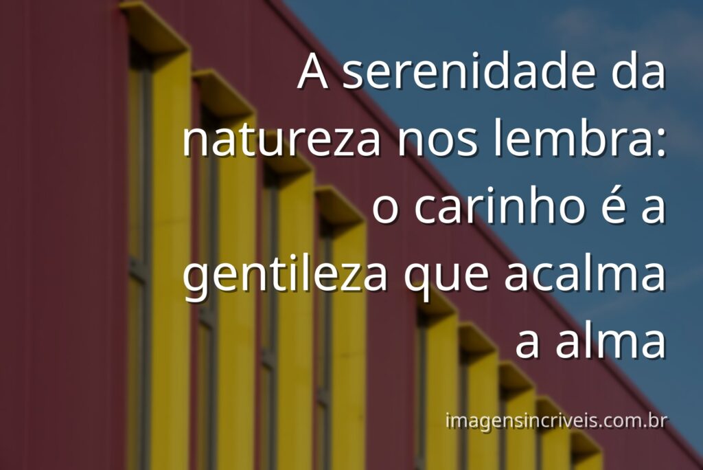 Paisagem serena de um lago espelhando o céu azul, evocando a paz e o carinho do Dia Mundial da Gentileza.