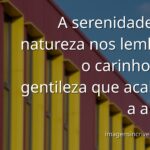 Paisagem serena de um lago espelhando o céu azul, evocando a paz e o carinho do Dia Mundial da Gentileza.