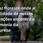 Céu azul e sereno refletido em águas calmas de um lago, com montanhas ao fundo, simbolizando a tranquilidade e a paz.
