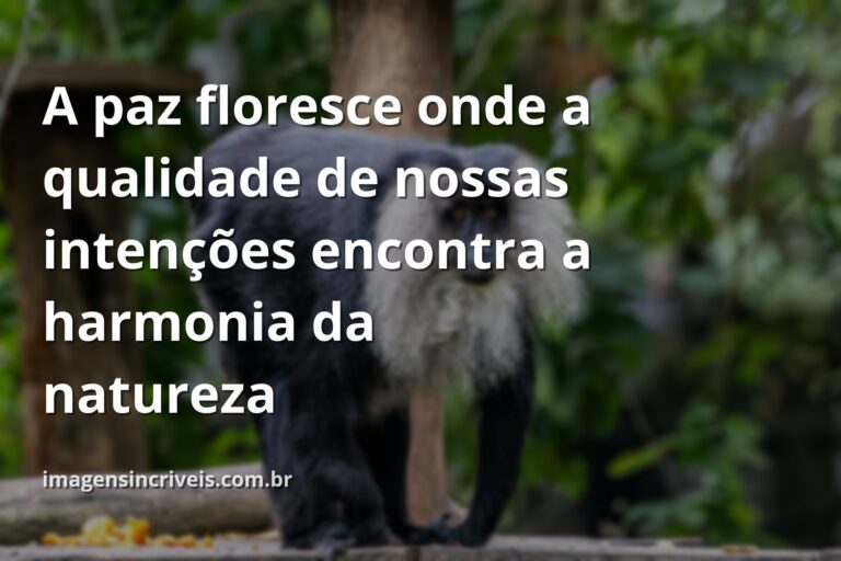 Céu azul e sereno refletido em águas calmas de um lago, com montanhas ao fundo, simbolizando a tranquilidade e a paz.
