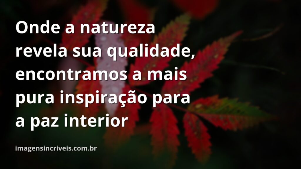 Paisagem serena de um lago calmo refletindo o céu azul e as nuvens, transmitindo uma profunda sensação de paz e qualidade de vida.