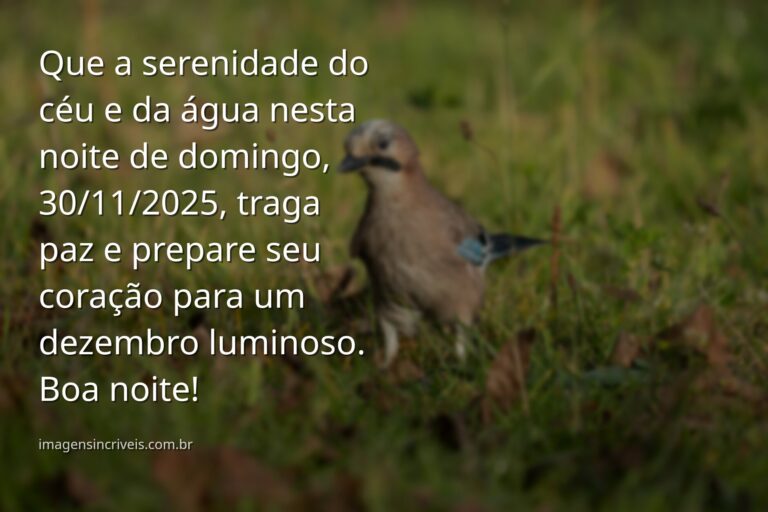 Céu sereno ao entardecer sobre água calma, refletindo a paz e a energia positiva do final de novembro.