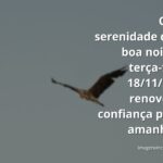 Céu estrelado refletido em águas calmas de um lago, transmitindo a paz e a confiança de uma noite serena.