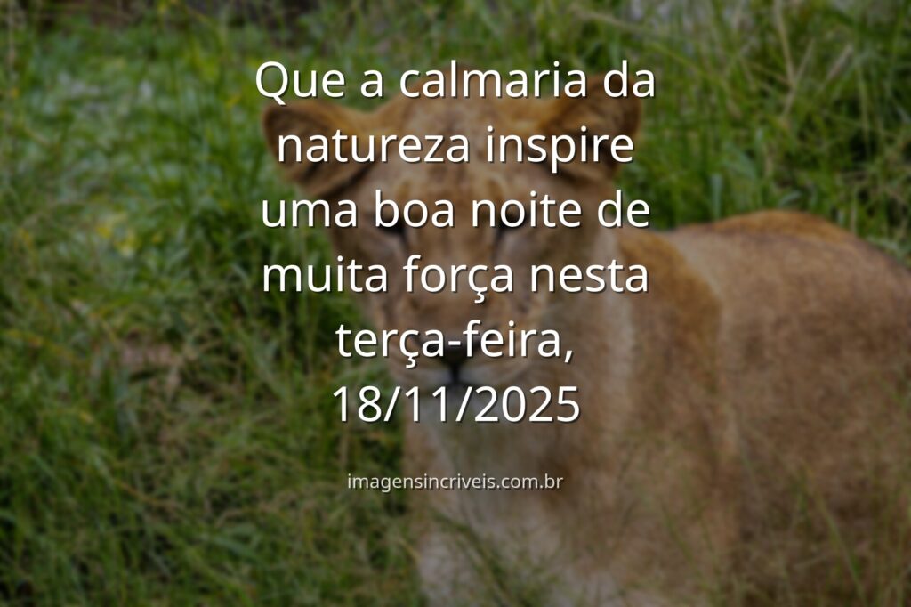 Céu noturno com estrelas refletido em um lago sereno, cercado por silhuetas de montanhas, transmitindo paz e força interior.