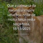 Céu noturno com estrelas refletido em um lago sereno, cercado por silhuetas de montanhas, transmitindo paz e força interior.