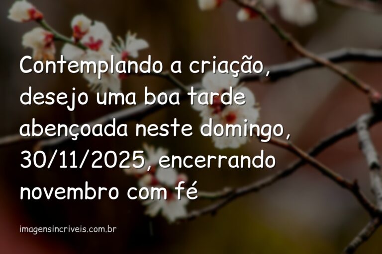 Céu sereno com nuvens douradas refletindo sobre águas calmas, evocando um sentimento de paz e gratidão divina neste fim de tarde.