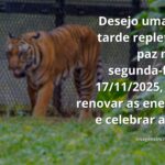 Céu sereno com nuvens brancas refletido em um lago de águas calmas, cercado por vegetação, transmitindo paz e renovação.