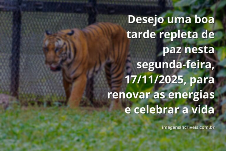 Céu sereno com nuvens brancas refletido em um lago de águas calmas, cercado por vegetação, transmitindo paz e renovação.