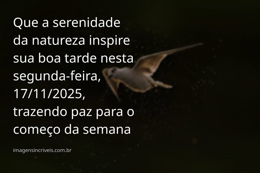 Paisagem serena de um lago refletindo o céu azul com nuvens brancas, transmitindo a paz para uma tarde de segunda-feira.