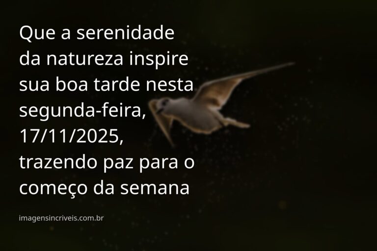Paisagem serena de um lago refletindo o céu azul com nuvens brancas, transmitindo a paz para uma tarde de segunda-feira.