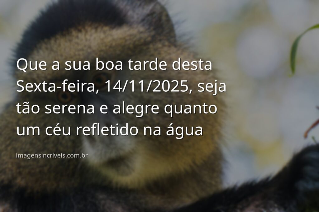 Paisagem serena de um lago refletindo o céu azul ao entardecer, transmitindo a paz e a alegria de uma boa tarde de sexta-feira.