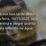Paisagem serena de um lago refletindo o céu azul ao entardecer, transmitindo a paz e a alegria de uma boa tarde de sexta-feira.