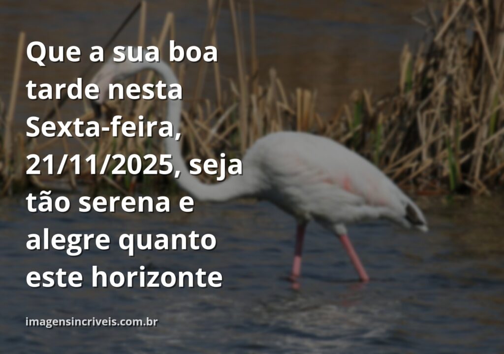 Paisagem serena com céu azul e nuvens brancas refletidas na água calma, evocando a alegria e a paz de uma tarde de sexta-feira.