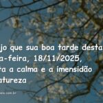 Paisagem serena de um lago com céu azul e nuvens brancas refletidos na água, transmitindo paz e positividade nesta tarde.