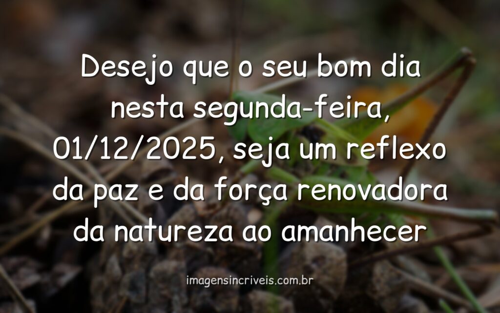 Amanhecer sereno sobre um lago calmo com o céu em tons de laranja e azul, refletindo a resiliência e a esperança de um novo começo.