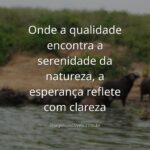 Um céu sereno ao amanhecer reflete sobre a água calma de um lago, transmitindo uma sensação de paz, qualidade e esperança renovada.