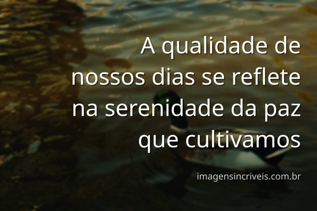 Paisagem serena de um lago calmo refletindo um céu azul claro e nuvens, transmitindo uma sensação de paz e qualidade de vida.