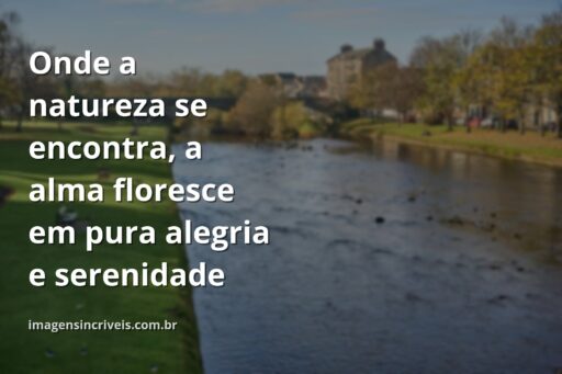 Paisagem serena de um lago cristalino refletindo um céu vasto com nuvens suaves, transmitindo uma sensação de paz e alegria pela vida.