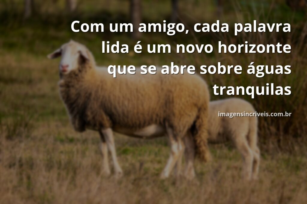 Céu azul com nuvens brancas refletido em um lago sereno, cercado por natureza verdejante. A cena transmite paz, amizade e clareza.