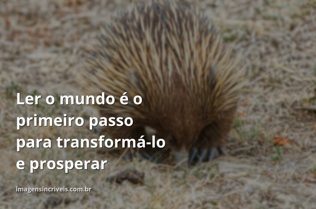 Céu azul com nuvens brancas refletido em água calma, com vegetação verde nas margens, simbolizando a clareza e o crescimento que a alfabetização traz.