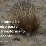 Céu azul com nuvens brancas refletido em água calma, com vegetação verde nas margens, simbolizando a clareza e o crescimento que a alfabetização traz.