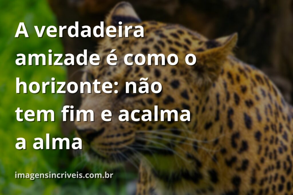 Céu vasto e sereno sobre um lago calmo que reflete a natureza, transmitindo a paz e a profundidade de uma amizade verdadeira.