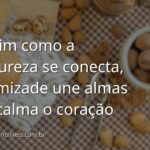 Céu vasto com nuvens suaves refletido sobre a superfície calma de um lago, evocando um sentimento de paz e conexão profunda da amizade.