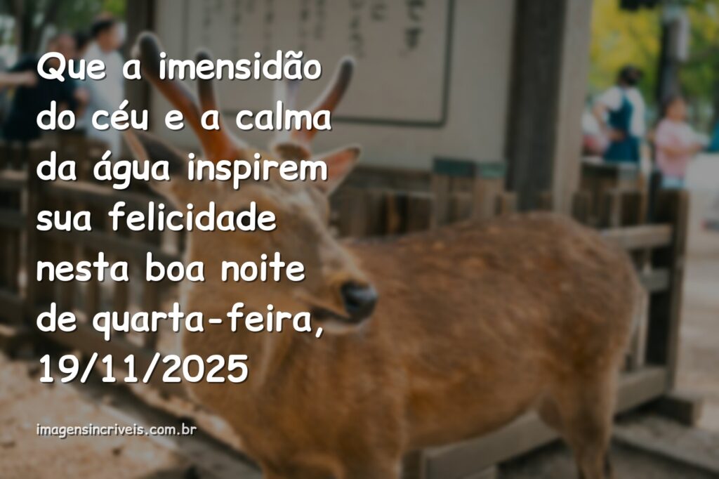 Céu noturno estrelado refletindo sobre a superfície calma de um lago, evocando um sentimento de paz, tranquilidade e felicidade.