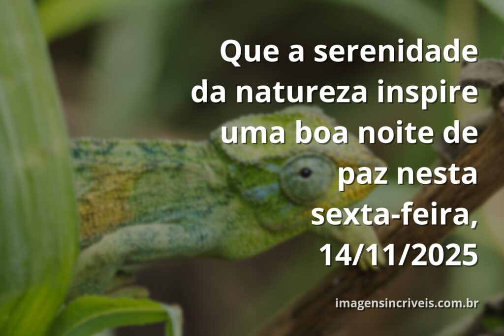 Céu noturno estrelado refletido sobre a superfície calma de um lago, transmitindo uma profunda sensação de paz e tranquilidade.