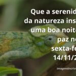 Céu noturno estrelado refletido sobre a superfície calma de um lago, transmitindo uma profunda sensação de paz e tranquilidade.