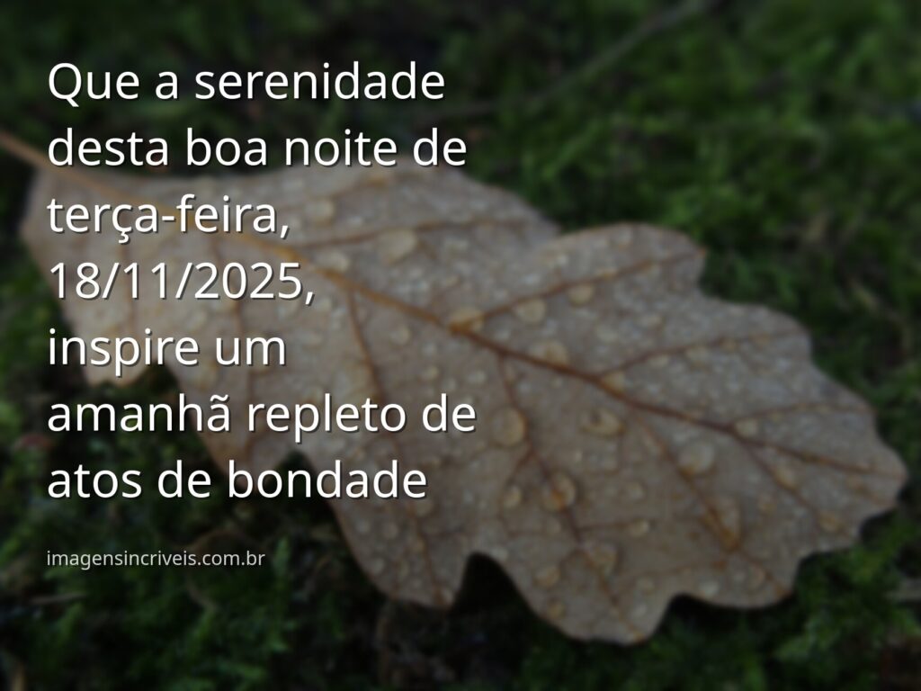 Céu estrelado refletido sobre a superfície calma de um lago, transmitindo a paz e a bondade de uma noite serena.