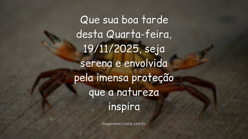 Paisagem serena de um lago calmo refletindo um céu vasto e azul, transmitindo a paz e a proteção de uma tarde tranquila.