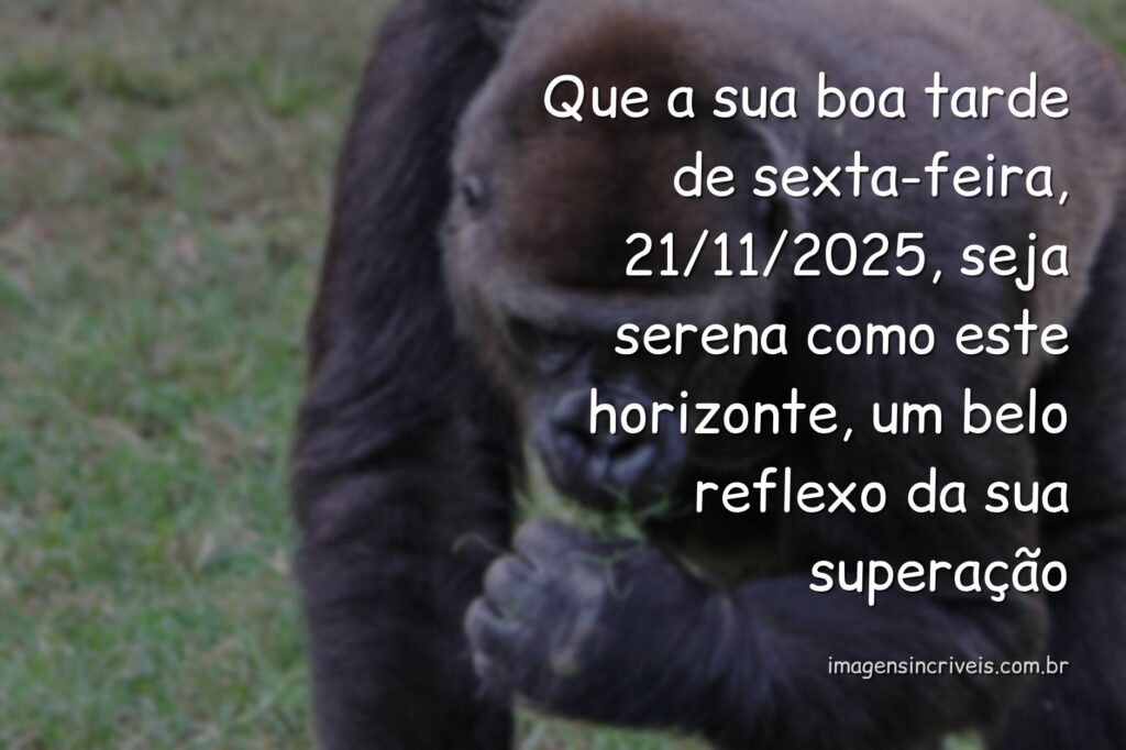 Paisagem serena com céu e água refletindo a luz do sol, inspirando um sentimento de paz e superação em uma tarde de sexta-feira.