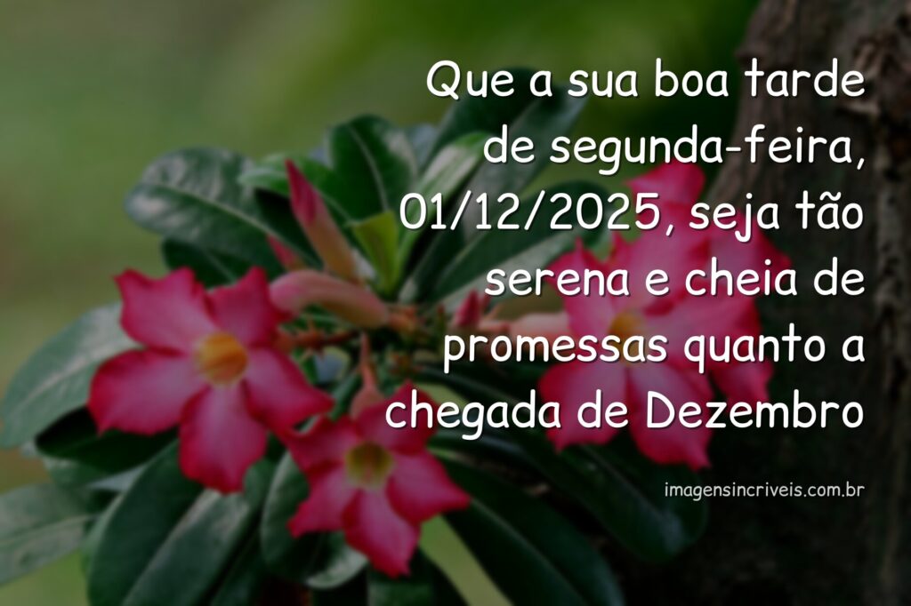 Paisagem serena com céu azul refletido em águas calmas, inspirando a alegria e a paz de um novo começo de mês em Dezembro.