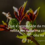 Nascer do sol sereno sobre um lago calmo, com o céu em tons de laranja e rosa refletido na água, transmitindo paz e renovação.