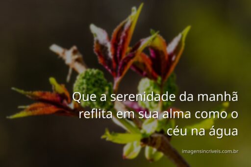 Nascer do sol sereno sobre um lago calmo, com o céu em tons de laranja e rosa refletido na água, transmitindo paz e renovação.